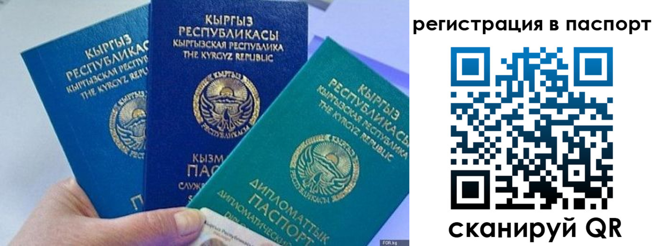 прописка 2025 в Котельниче